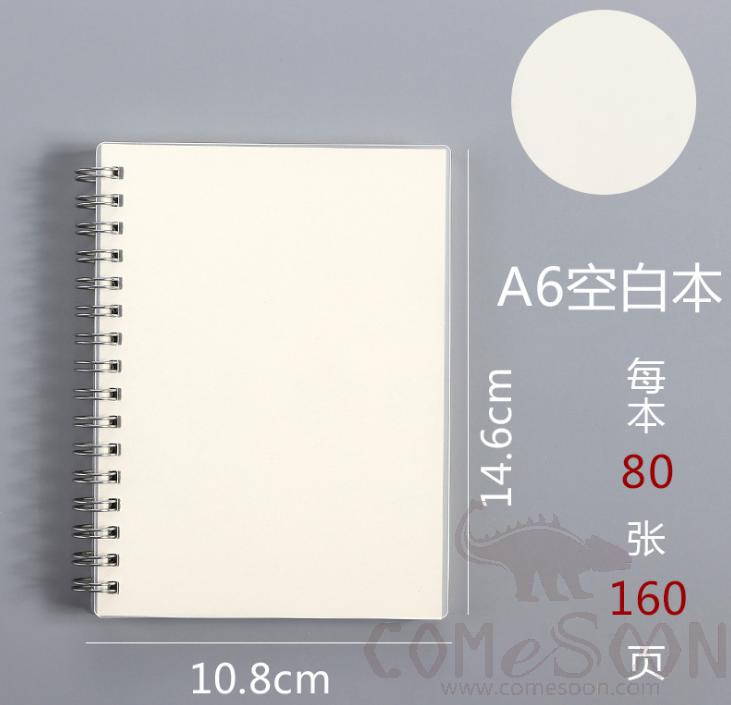 Frosted transparent coil notebook-14.6*10.8cm