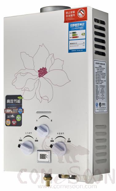 Flue Exhaust
Gas Water
Heater-12L