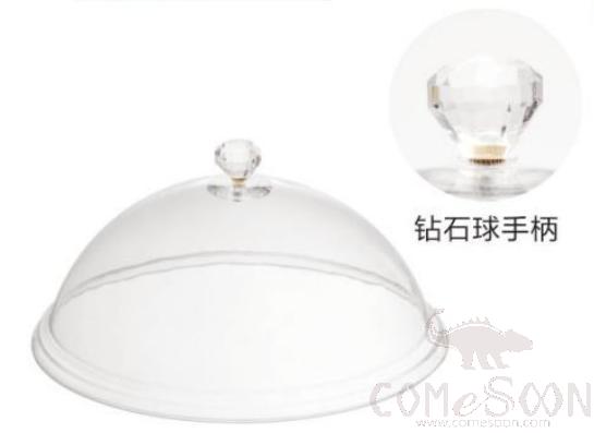 PC 10 Inch Round Food Cover  (Plus Handle)