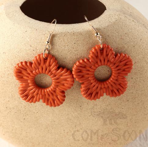 N series- Earring / Dangler / Eardrop