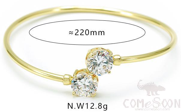 Bracelet / Bangle / Jewelry 
XYH100815