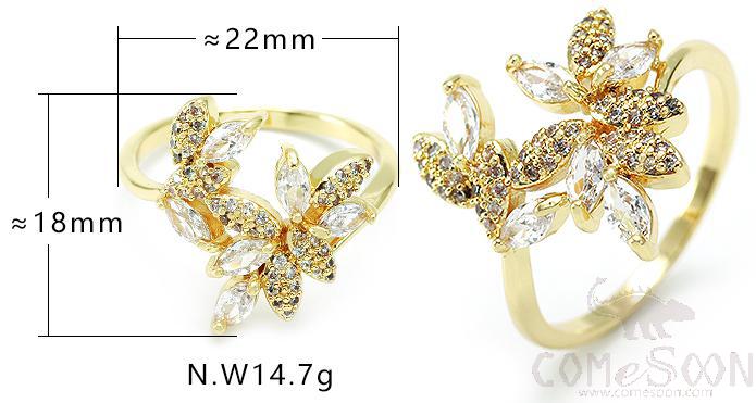 Ring
XYR102693