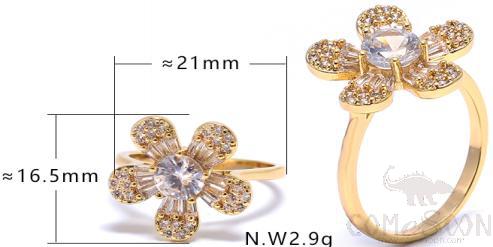 Ring
XYR102770