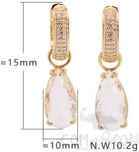 Earring / Dangler / Eardrop / Jewelry
XYE102988