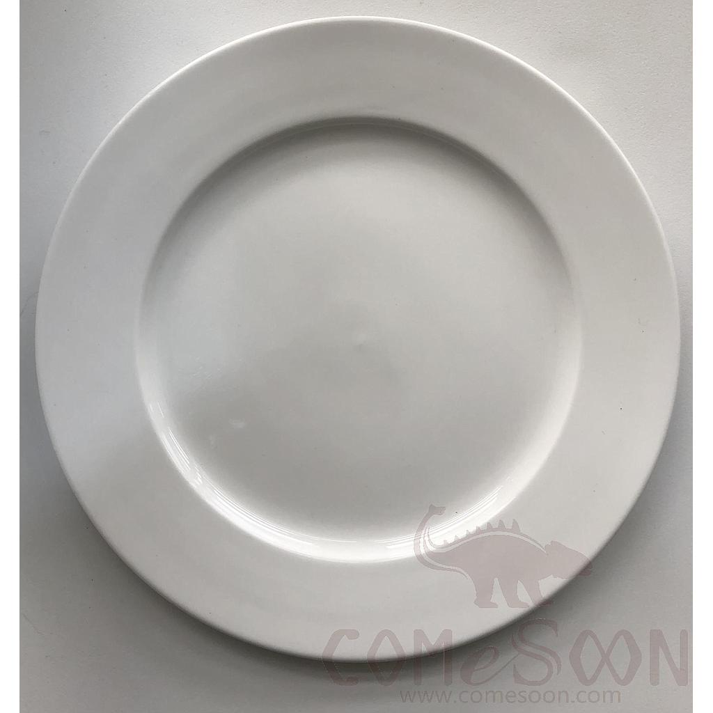 11&quot; Flat Plate