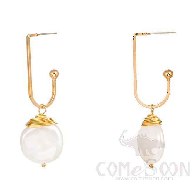 Earring / Dangler / Eardrop / Jewelry  NE259