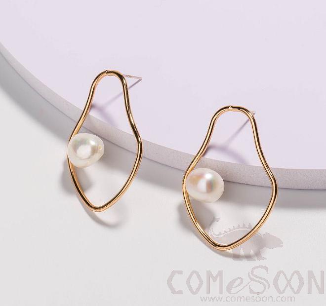 Earring / Dangler / Eardrop / Jewelry    NE261 