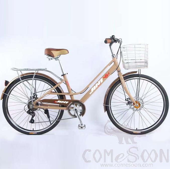 Bicycle,Bronze,Aluminum alloy,22&quot;
