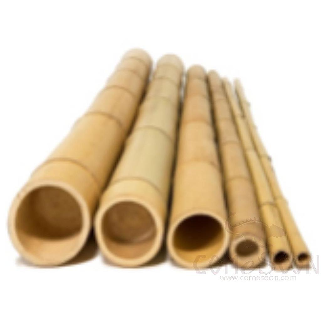 Bamboo Pole，7CM

