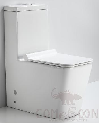 Washdown one piece toilet, 660X360X805mm