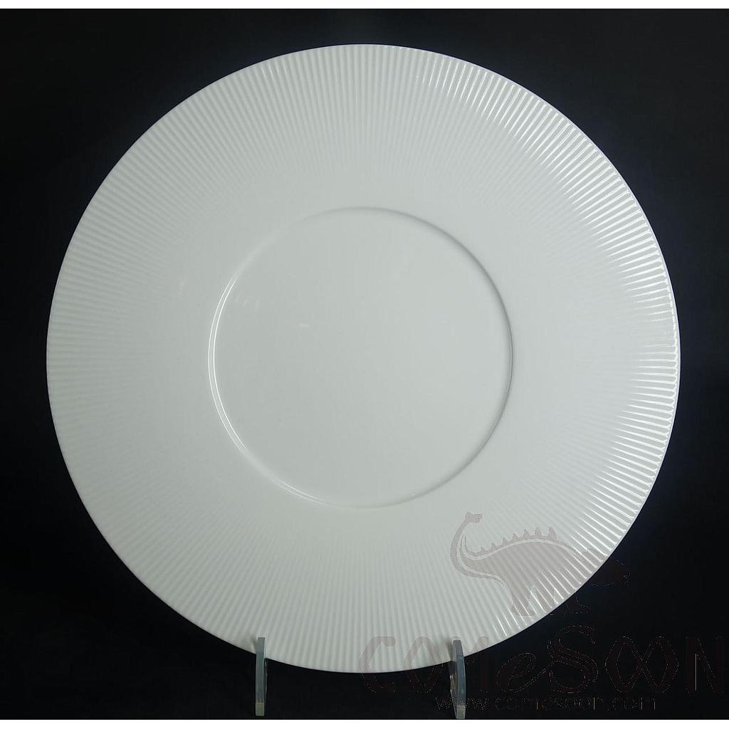 G161 Series 12&quot; Plate