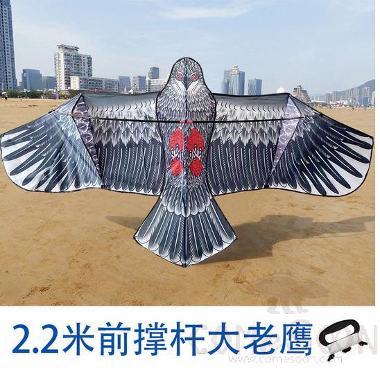 Eagle Kite, 2.2m