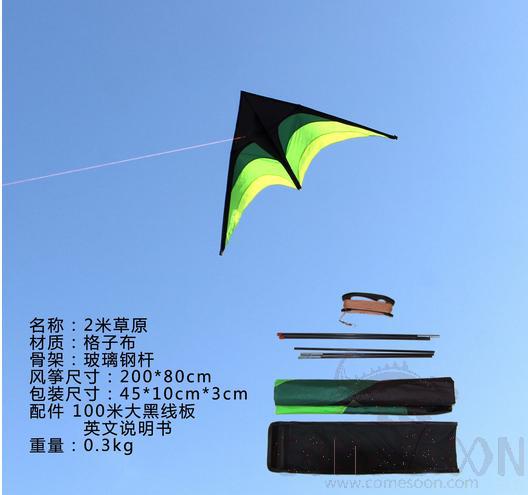 2M Small Prairie Triangle Kite