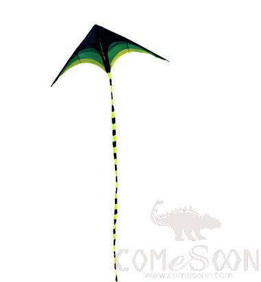2m Little Prairie Triangle Kite