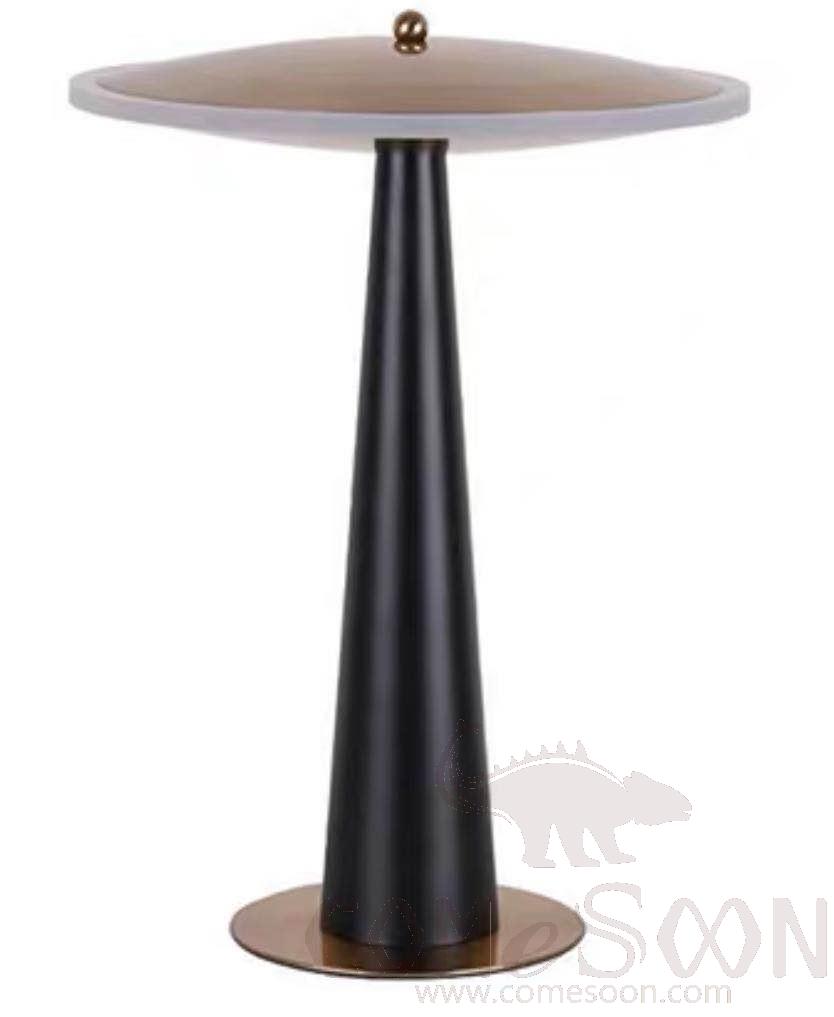 Table Lamp, Acrylic+Iron, 300*400Mm