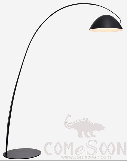 Floor lamp, iron, L1600*2070mm