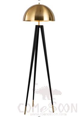 Floor lamp, metal plating + lacquer, W500*H1650MM