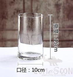 Straight Glass Vase, D10cm H15cm