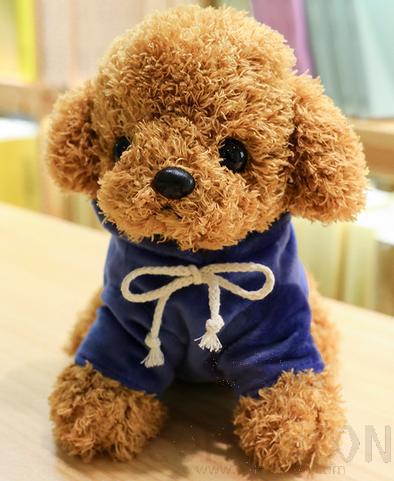 Teddy Plush Toy,25cm
