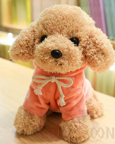 Teddy Plush Toy,25cm