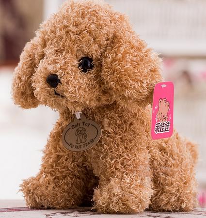 Teddy Plush Toy,25cm