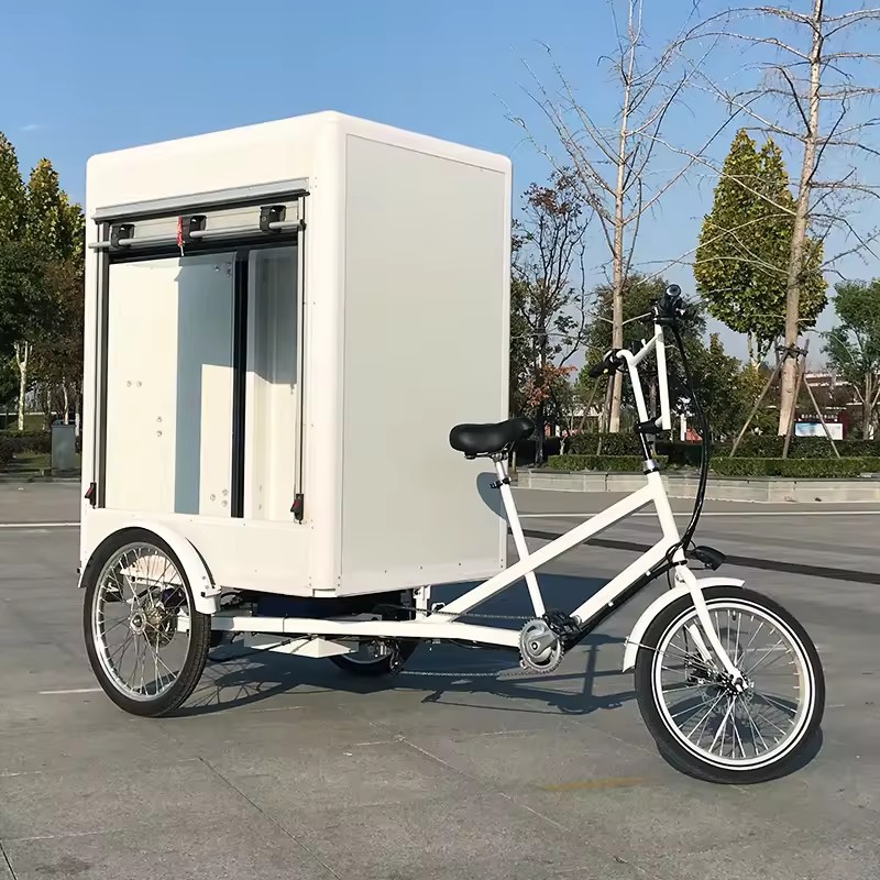 Rolling Gate Electric Tricycle, 500w, 48v20ah, 217*118*200cm
