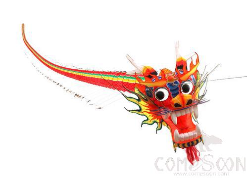 Dragon Head Kite， 7.5m