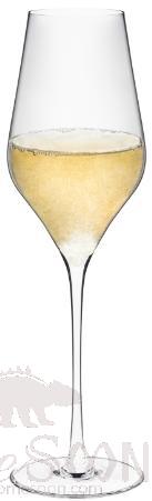 RONA BALLET- Champagne flute 31cl