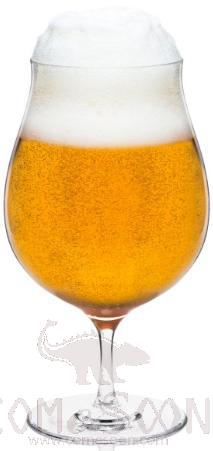 RONA BARTENDER- Craft Beer 54cl