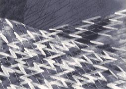 Wilton Rug-240*340mm