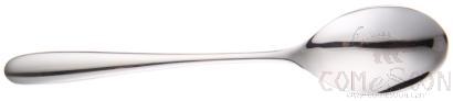 STJOY Series-Dessert Spoon，177mm，stainless steel 304