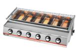 Six-Head  Roaster(Gas)