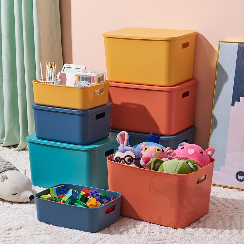 Blue Storage Box with Cover-22.2*28.5*15 CM