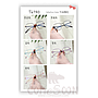 Optical Glasses (for women)