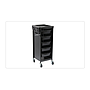 Hair Dressing Trolley