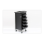 Hair Dressing Trolley