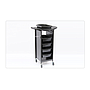 Hair Dressing Trolley