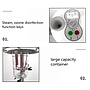 SPA Facial Steamer