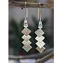 Earring / Dangler / Eardrop / Jewelry     NE357 