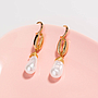 Earring / Dangler / Eardrop / Jewelry  NE307
