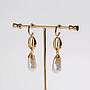 Earring / Dangler / Eardrop / Jewelry  NE307