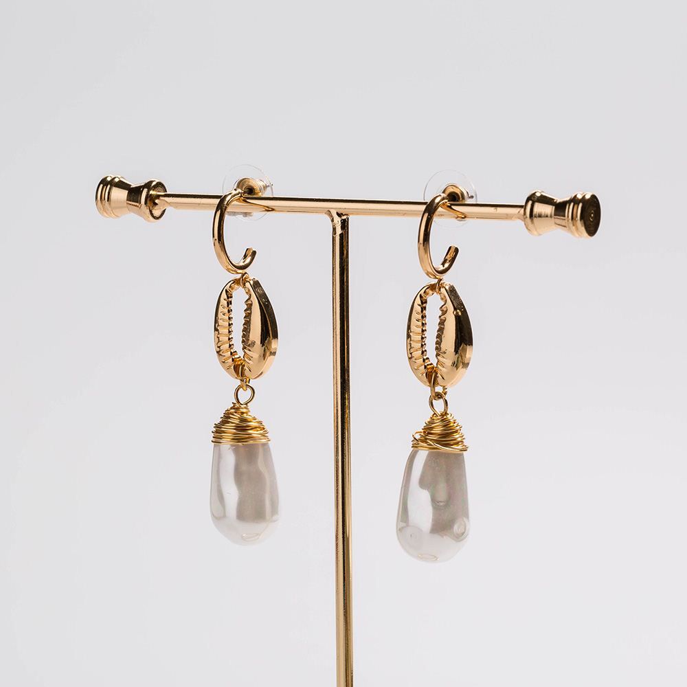 Earring / Dangler / Eardrop / Jewelry  NE307