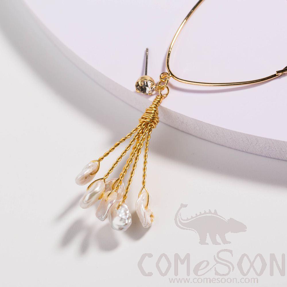 Earring / Dangler / Eardrop / Jewelry  NE308