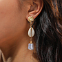 Earring / Dangler / Eardrop / Jewelry  NE309