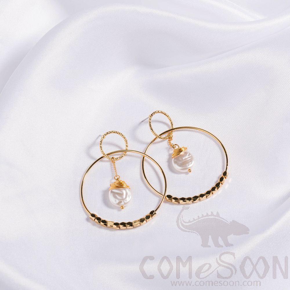 Earring / Dangler / Eardrop / Jewelry  NE325