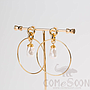 Earring / Dangler / Eardrop / Jewelry  NE327