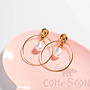 Earring / Dangler / Eardrop / Jewelry  NE327