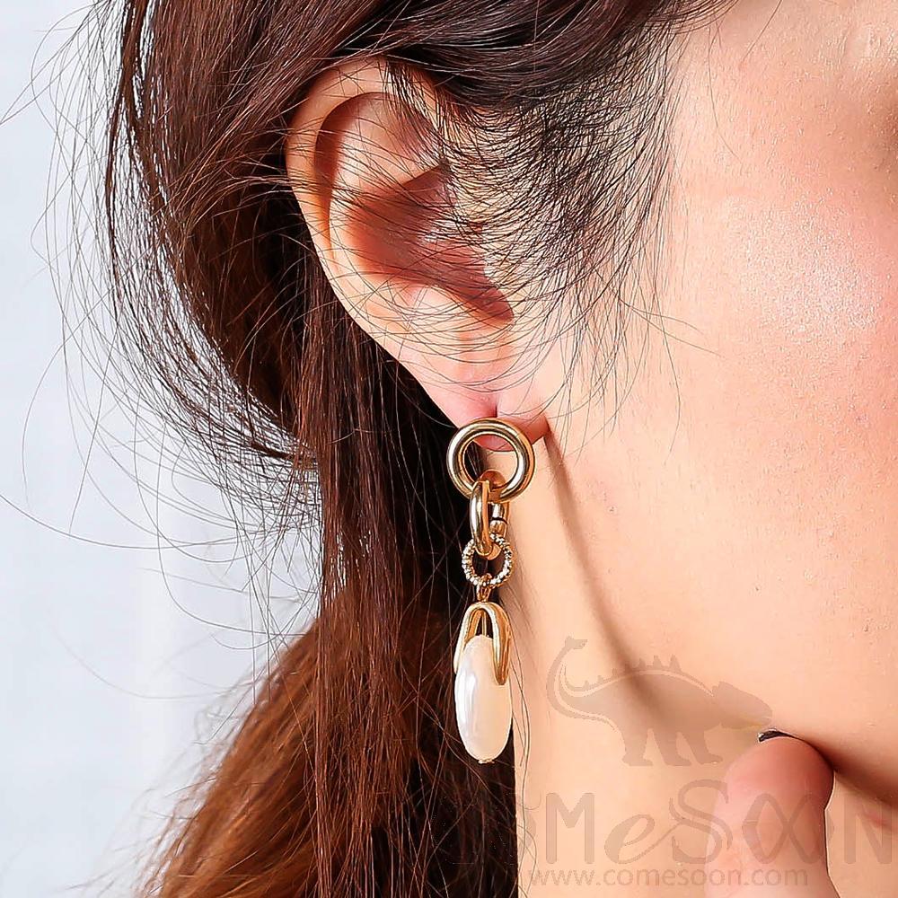 Earring / Dangler / Eardrop / Jewelry        NE347-X
