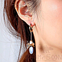 Earring / Dangler / Eardrop / Jewelry        NE350-X