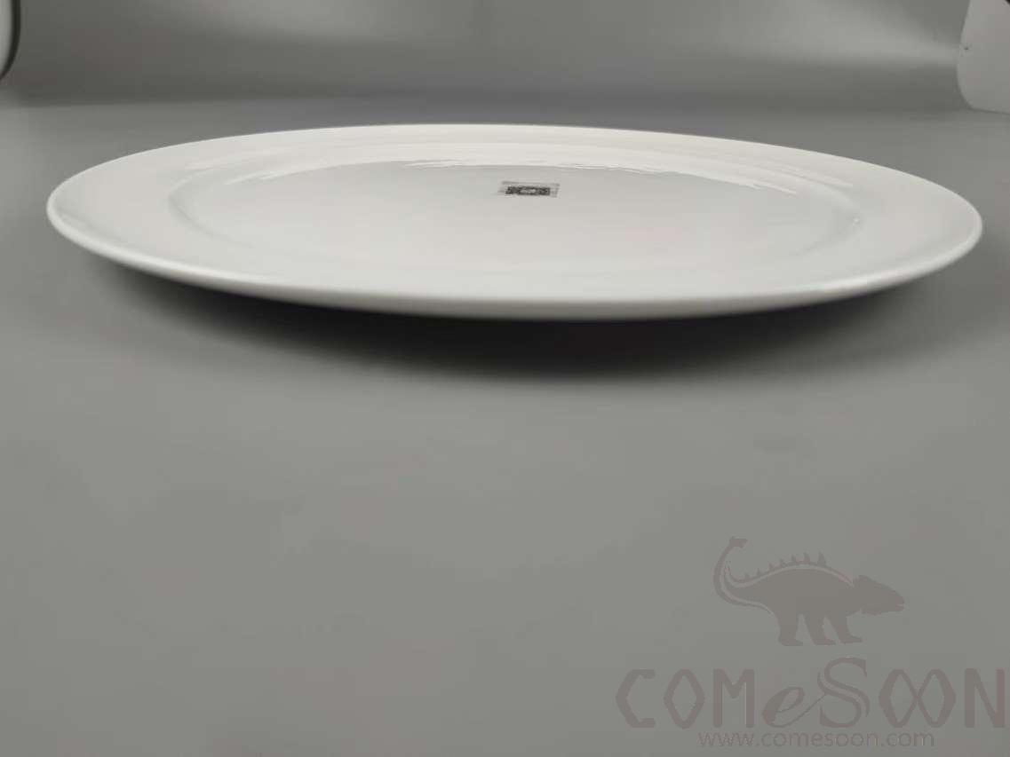 G161 Series 13&quot; Shark's Fin Plate